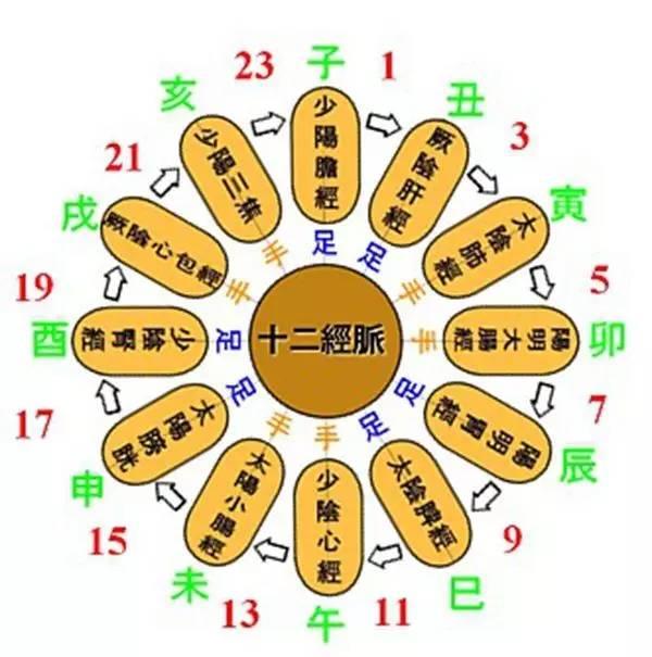 神农中医馆 身体记得:疏通经络,负面情绪自然消失!
