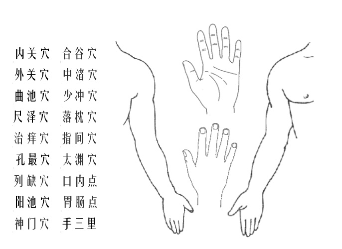 手臂及手掌穴位图互动版