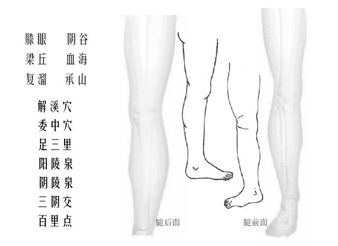 人体下肢互动版穴位图