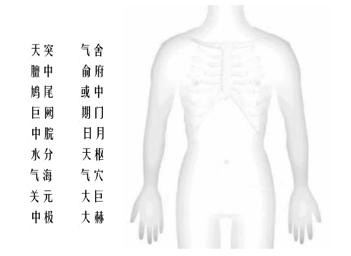 胸部及腹部互动版穴位图
