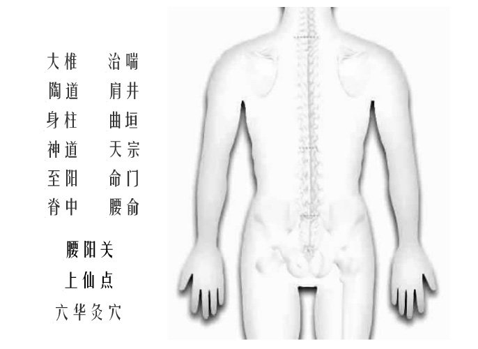 腰部和背部互动版穴位图1