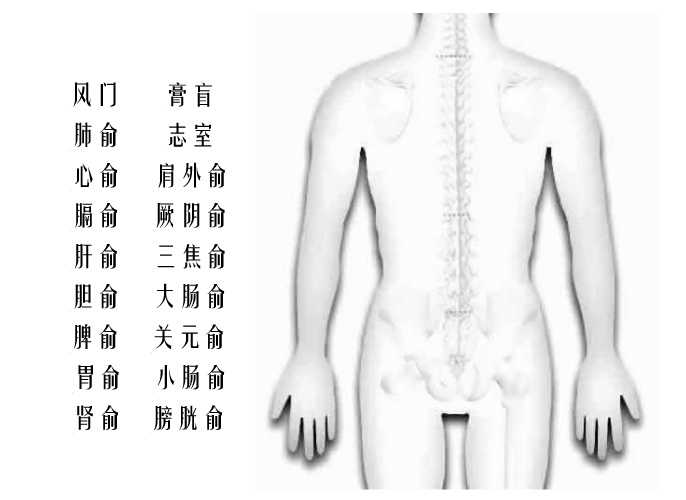 腰部和背部互动版穴位图1